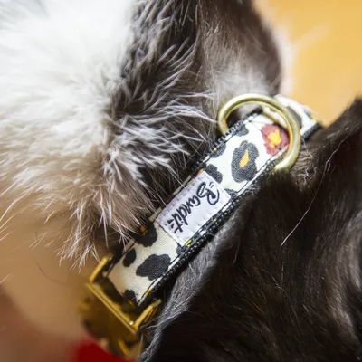 French Bandit - Collier pour chat motif léopard