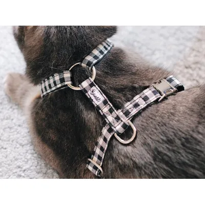 French Bandit - Harnais pour chat vichy French Bandit - Harnais pour chat vichy