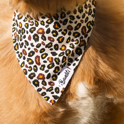 French Bandit - Bandana pour chien motif léopard