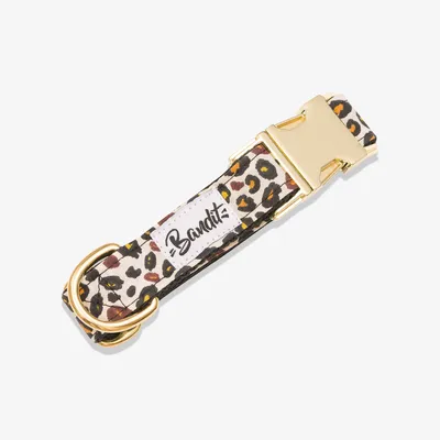 French Bandit - Collier pour chien léopard