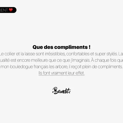 French Bandit - Collier pour chien motif marin French Bandit - Collier pour chien motif marin