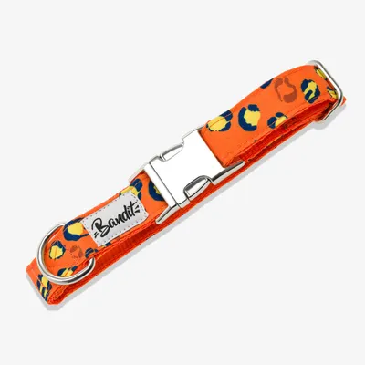 French Bandit - Collier pour chien léopard néon
