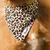 French Bandit - Bandana pour chien motif léopard