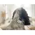French Bandit - Collier pour chien vichy