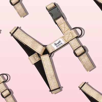 French Bandit - Harnais pour chien à paillettes