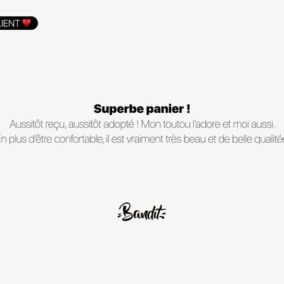 French Bandit - Panier chien motif Palm'Beach