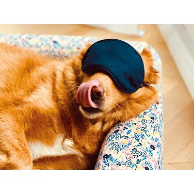 French Bandit - Panier pour chien French Bandit - Panier pour chien