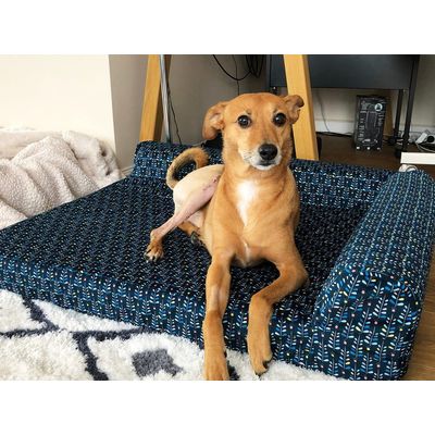 French Bandit - Le panier chien Night Blue