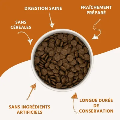 Wildfang® Croquettes pour adultes au poulet et aux herbes - sans céréales