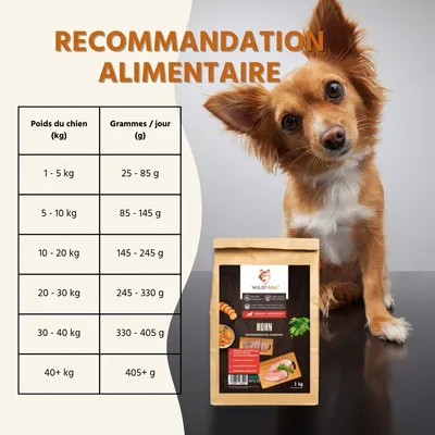 Wildfang® Croquettes pour adultes au poulet et aux herbes - sans céréales