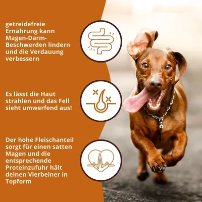 Wildfang Adult Trockenfutter mit Huhn & Kräuter - getreidefrei Wildfang Adult Trockenfutter mit Huhn & Kräuter - getreidefrei