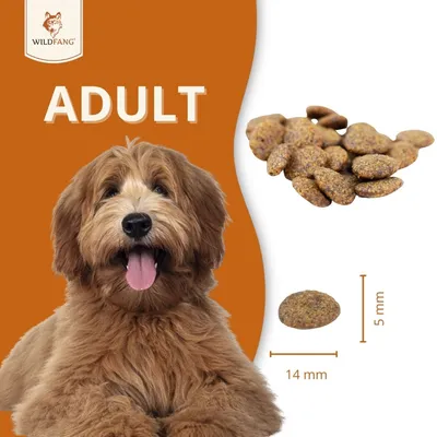 Wildfang Adult Trockenfutter mit Huhn & Kräuter - getreidefrei Wildfang Adult Trockenfutter mit Huhn & Kräuter - getreidefrei