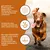 Wildfang Adult Trockenfutter mit Huhn & Kräuter - getreidefrei Wildfang Adult Trockenfutter mit Huhn & Kräuter - getreidefrei