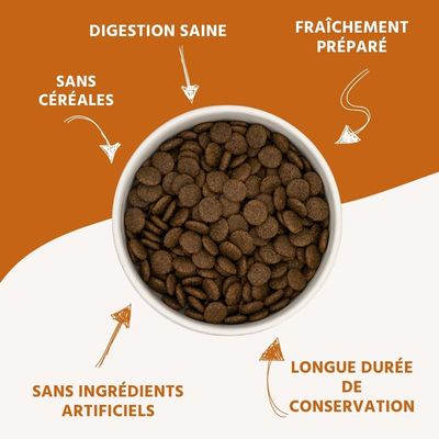 Wildfang® Croquettes pour adultes au poulet et aux herbes - sans céréales