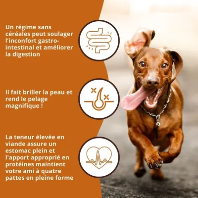 Wildfang® Croquettes pour adultes au poulet et aux herbes - sans céréales