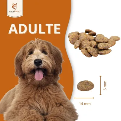 Wildfang® Croquettes pour adultes au poulet et aux herbes - sans céréales