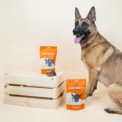 Dog Chef Beefy Crunchy – 100 % natürliche Leckerli mit Rind für Hunde