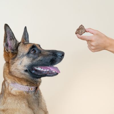 Dog Chef Beefy Crunchy – 100 % natürliche Leckerli mit Rind für Hunde