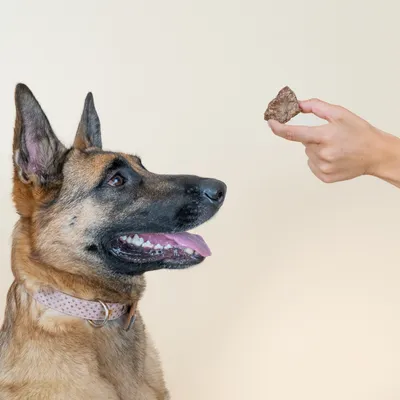 Dog Chef Beefy Crunchy – 100 % natürliche Leckerli mit Rind für Hunde