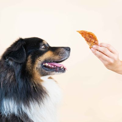 Dog Chef Chicky – Leckerli für Hunde aus 100 % getrocknetem Huhn