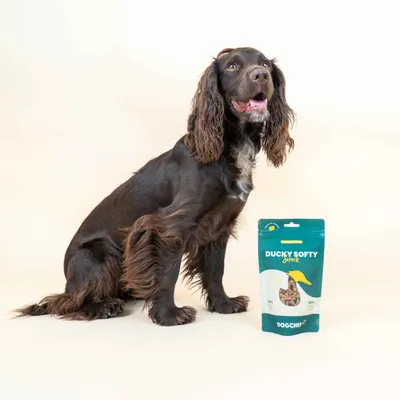 Dog Chef Ducky Softy - Friandises au Canard pour Chien - Hypoallergénique