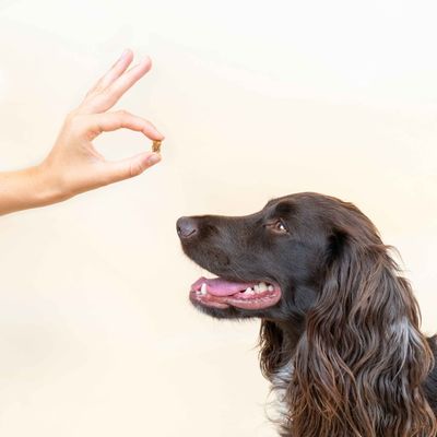 Dog Chef Ducky Softy – Leckerli mit Ente für Hunde – Hypoallergen