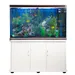 Monstershop Aquarium à bords Blanc avec Meuble Blanc
