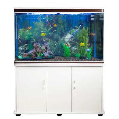 Monstershop Aquarium à bords Blanc avec Meuble Blanc