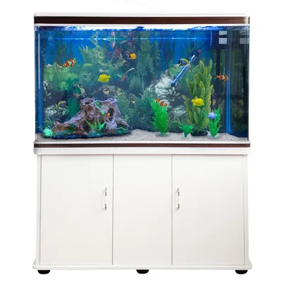 Monstershop Aquarium à bords Blanc avec Meuble Blanc