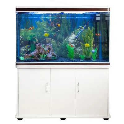 Monstershop Aquarium à bords Blanc avec Meuble Blanc