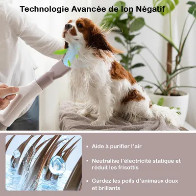 GIANTEX Pulseur pour Chiens - Température et Vitesse Réglables