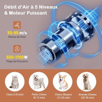 GIANTEX Pulseur pour Chiens - Température et Vitesse Réglables
