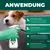 SILBERKRAFT Spray anti-puces et tiques pour chiens et chats SILBERKRAFT Spray anti-puces et tiques pour chiens et chats