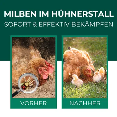 Silberkraft Milbenspray für Hühner – Abwehrspray (Repellent)