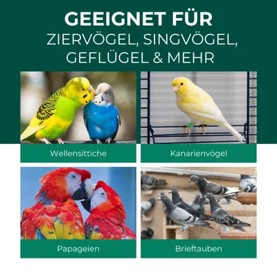 SILBERKRAFT Spray anti-acariens pour oiseaux SILBERKRAFT Spray anti-acariens pour oiseaux
