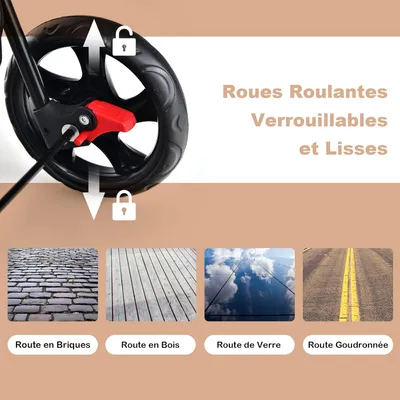 GIANTEX Poussette 2 Étages pour Chien Chat Détachable et Pliable