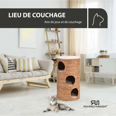 Rohrschneider Grotte du chat