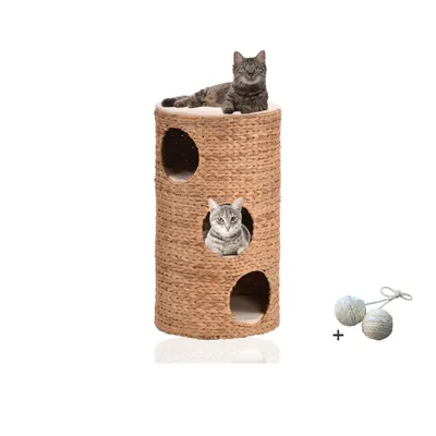 Rohrschneider Grotte du chat
