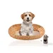 Rohrschneider Tierbett Bira