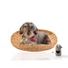 Rohrschneider Tierbett Bira