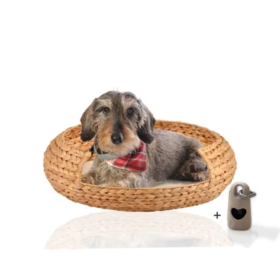 Rohrschneider Panier pour chat Bira