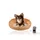 taille 1