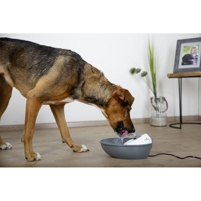 Fontaine EYENIMAL Classic Pet 1,75 l pour petit chien et chat