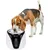 Distributeur d'Eau Automatique pour Animaux 2 L Abreuvoir /Gris