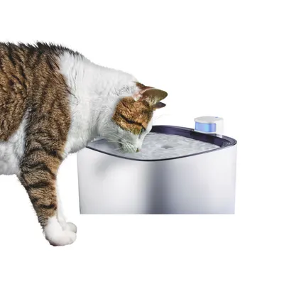 Fontaine à eau Silencieuse Iguazu 3 Litres Pour Chats Et Petits Chiens