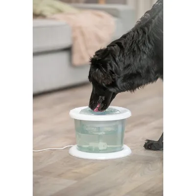 Fontaine  3 Litres transparente, pour chat et chien