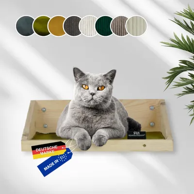 Rohrschneider Marche d'escalade naturelle avec insert Rohrschneider Marche d'escalade naturelle avec insert