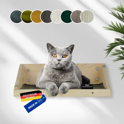 Rohrschneider Marche d'escalade naturelle avec insert