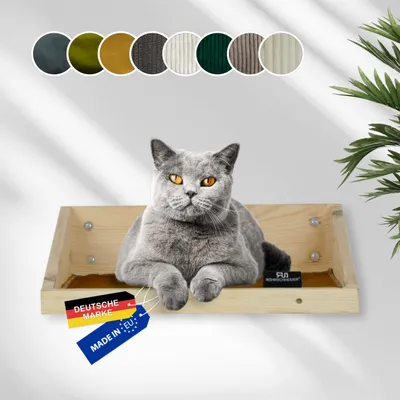 Rohrschneider Marche d'escalade naturelle avec insert