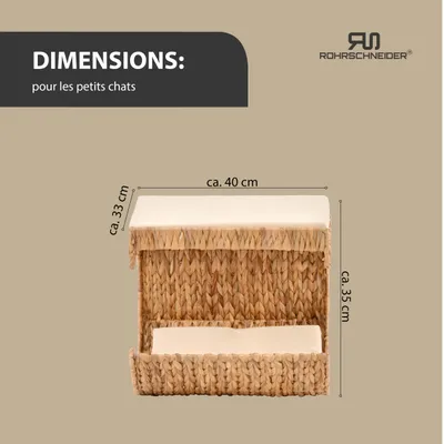 Rohrschneider Élément mural 
Jacinthe d'eau